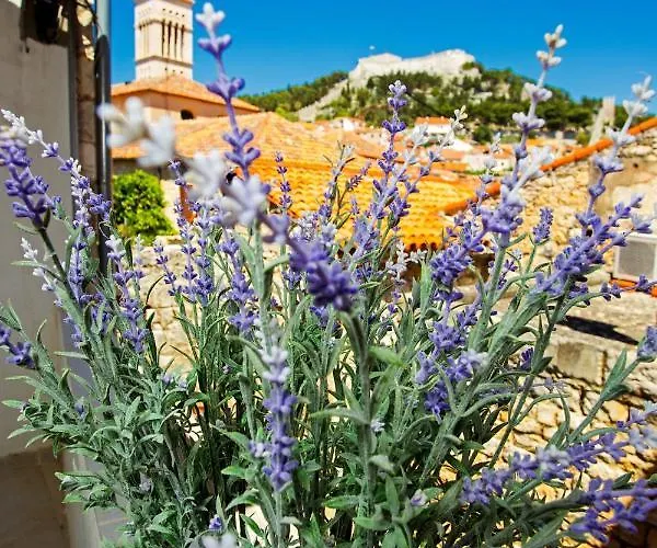 Apartment&studios Happy Place Apartamento